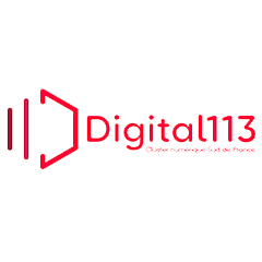Digital 113